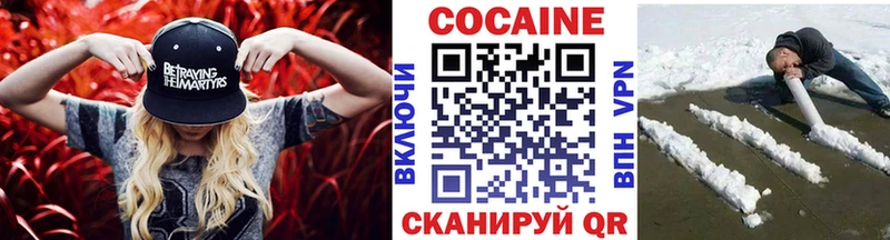 магазин продажи наркотиков  Каменка  Кокаин Эквадор 