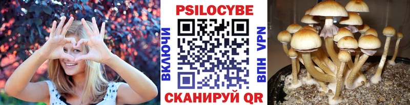 Псилоцибиновые грибы GOLDEN TEACHER  где купить   Каменка 